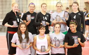 NM Juniors Hinge NM Juniors Hinge