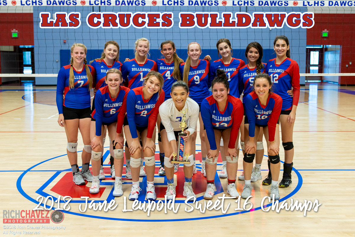 Cruces wins Sweet 16 NM Volleyball